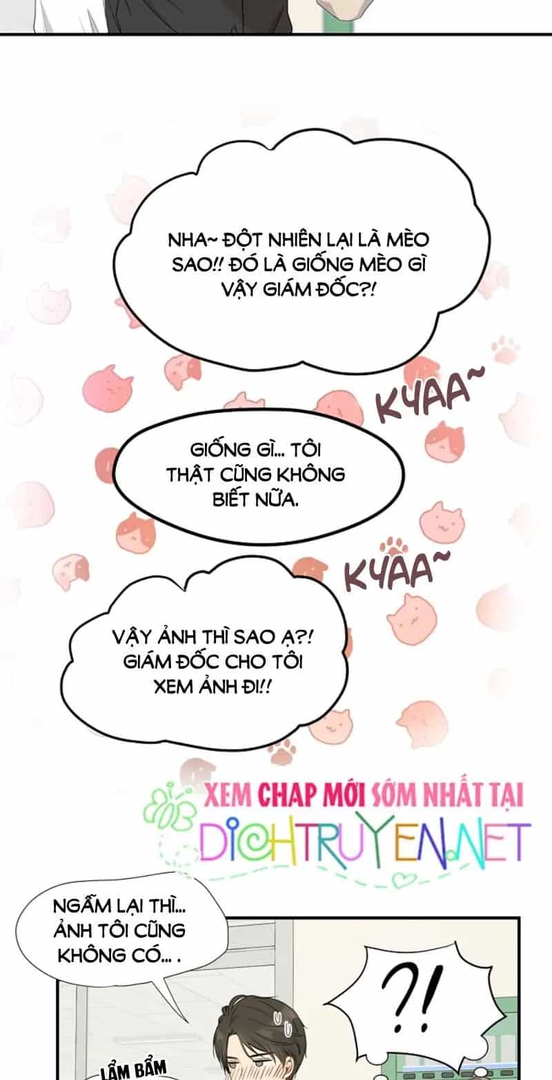 Một Cuộc Sống Kỳ Lạ - Chương 3 - ảnh 17
