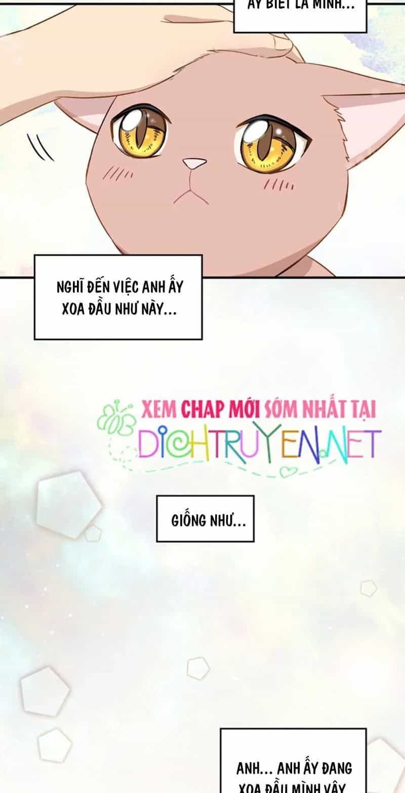 Một Cuộc Sống Kỳ Lạ - Chương 3 - ảnh 3