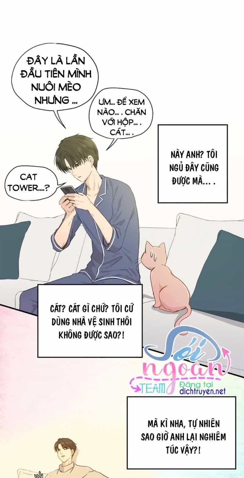 Một Cuộc Sống Kỳ Lạ - Chương 3 - ảnh 6