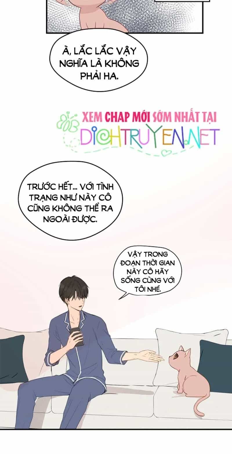 Một Cuộc Sống Kỳ Lạ - Chương 3 - ảnh 9