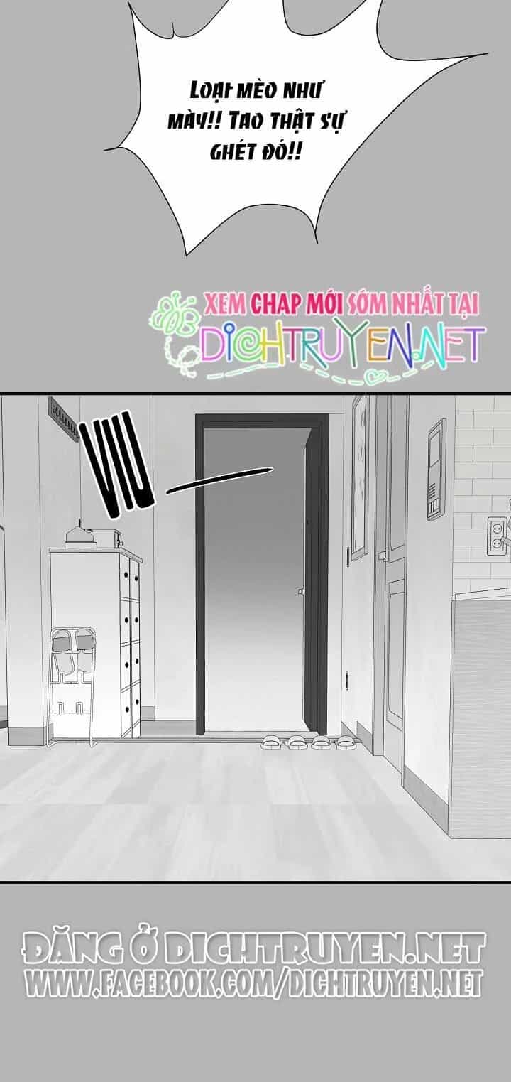 Một Cuộc Sống Kỳ Lạ - Chương 4 - ảnh 7