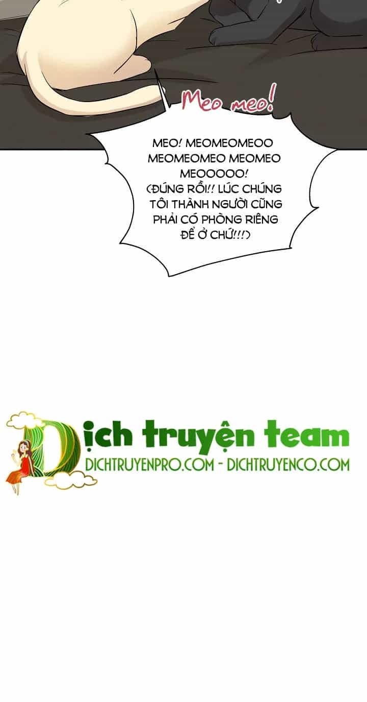 Một Cuộc Sống Kỳ Lạ - Chương 65 - ảnh 24
