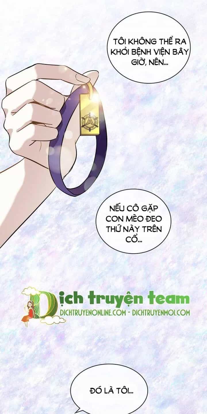 Một Cuộc Sống Kỳ Lạ - Chương 91 - ảnh 60