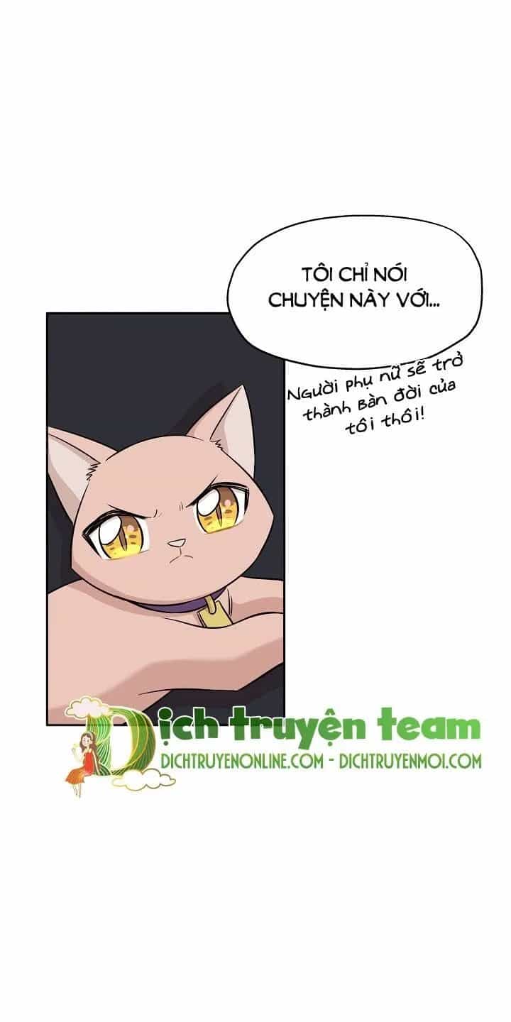 Một Cuộc Sống Kỳ Lạ - Chương 92 - ảnh 22