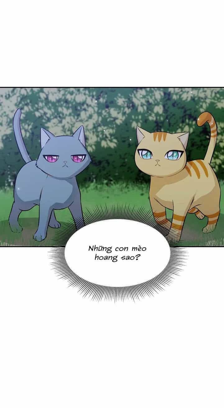 Một Cuộc Sống Kỳ Lạ - Chương 97 - ảnh 9