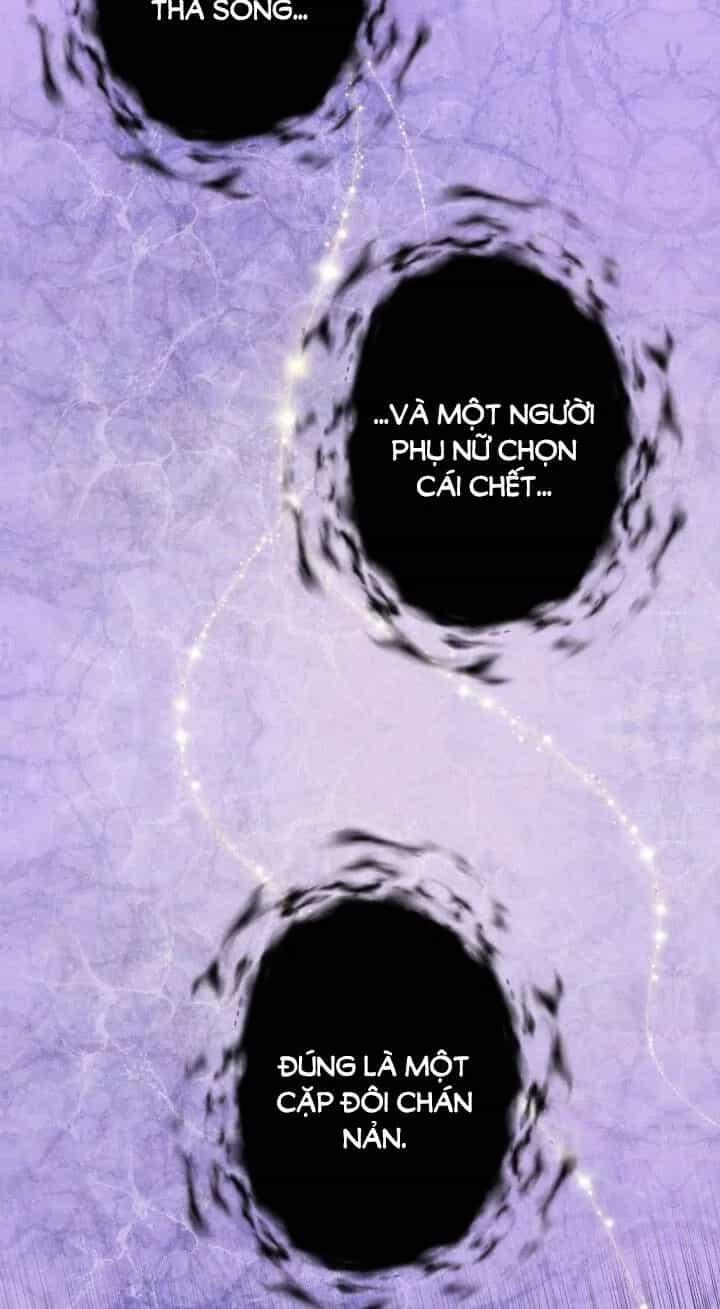 Một Cuộc Sống Kỳ Lạ - Chương 98 - ảnh 41