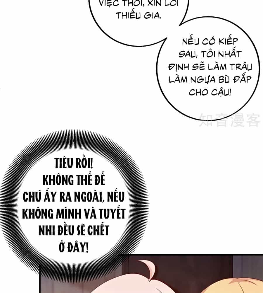 Một Thai Hai Bảo : Đưa Mami Về Nhà ! - Chương 276 - ảnh 25