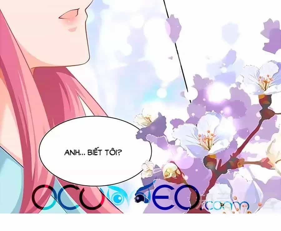 Một Thai Hai Bảo : Đưa Mami Về Nhà ! - Chương 69 - ảnh 48