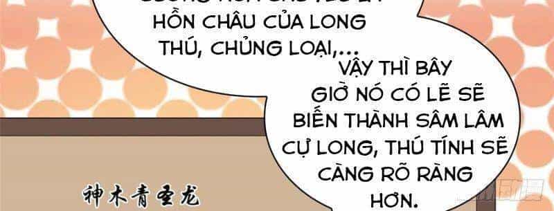Mục Long Sư - Chương 68 - ảnh 13