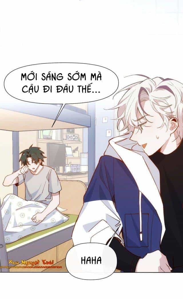 Mười Năm Sau, Tôi Kết Hôn Với Kẻ Không Đội Trời Chung Của Mình?! - Chương 11 - ảnh 8