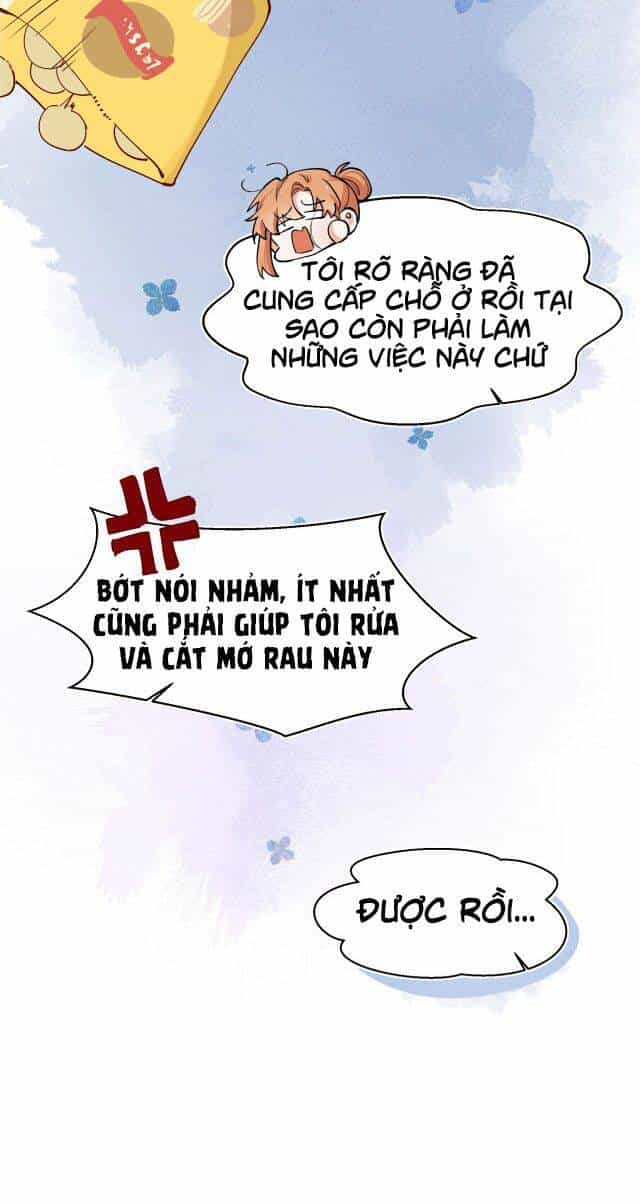 Mười Năm Sau, Tôi Kết Hôn Với Kẻ Không Đội Trời Chung Của Mình?! - Chương 28 - ảnh 6