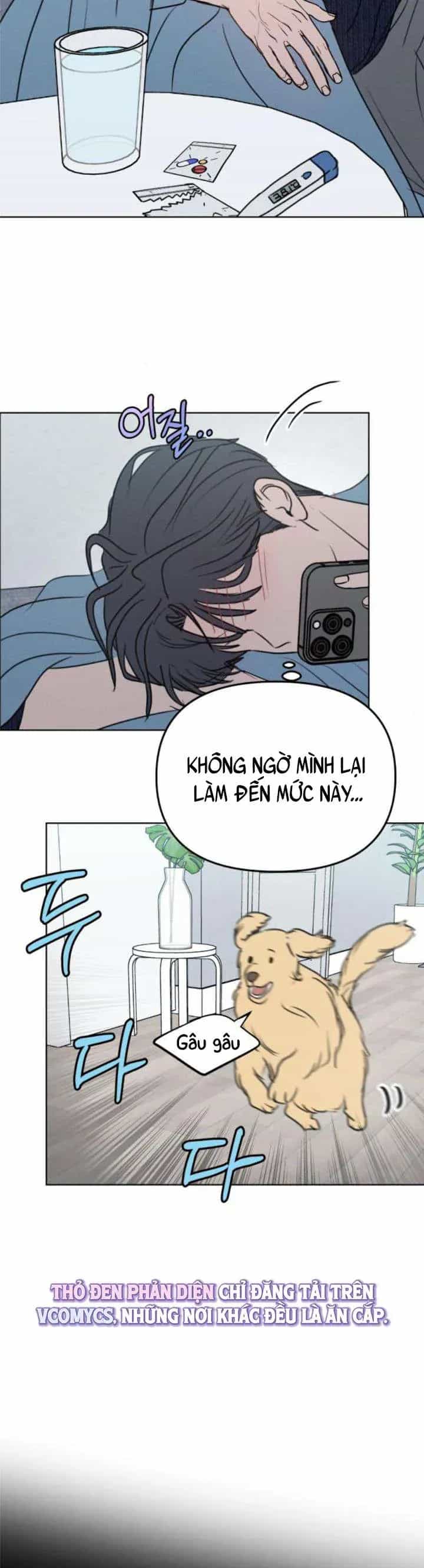 Muốn Được Lừa Dối - Chương 26 - ảnh 24