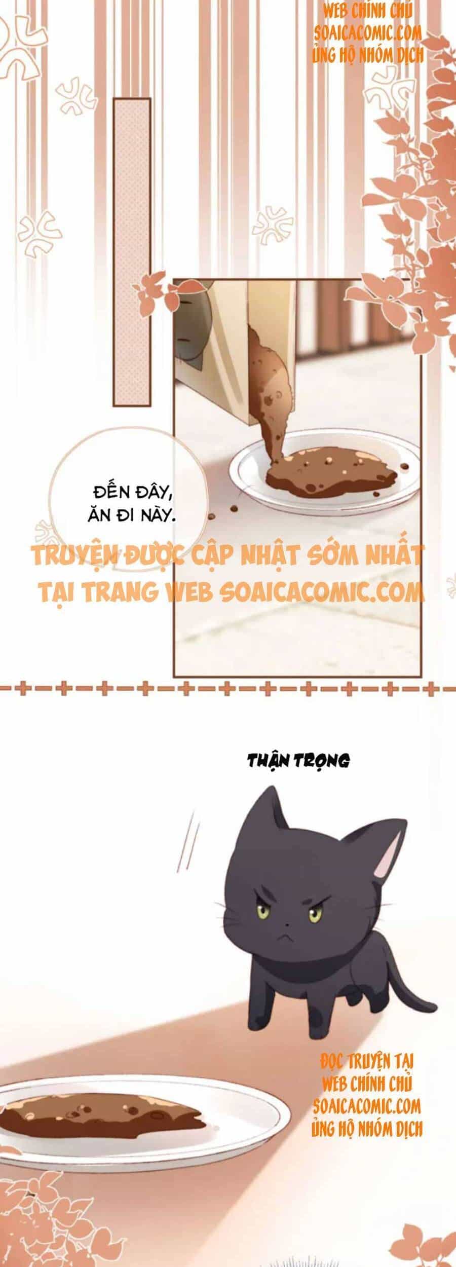 Nam Chính Và Nhân Vật Phản Diện Tôi Nuôi Đều Không Đứng Đắn - Chương 34 - ảnh 14