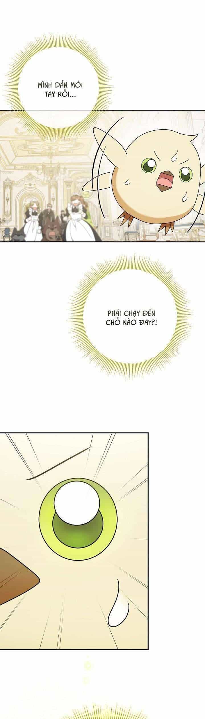 Nàng Chim Được Dinh Thự Sói Yêu Thương - Chương 8 - ảnh 27