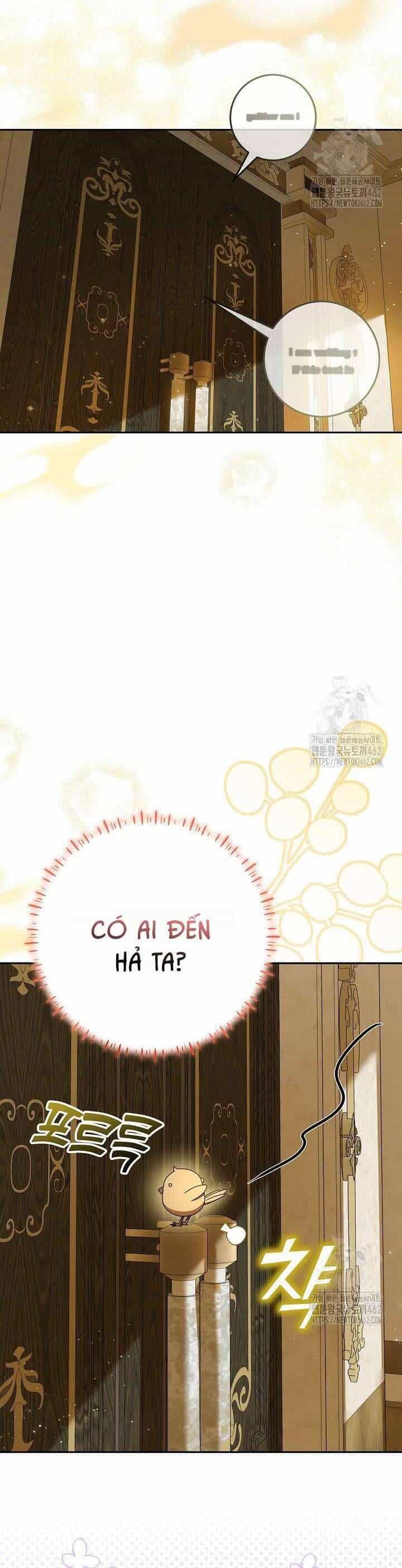 Nàng Chim Được Dinh Thự Sói Yêu Thương - Chương 16 - ảnh 17
