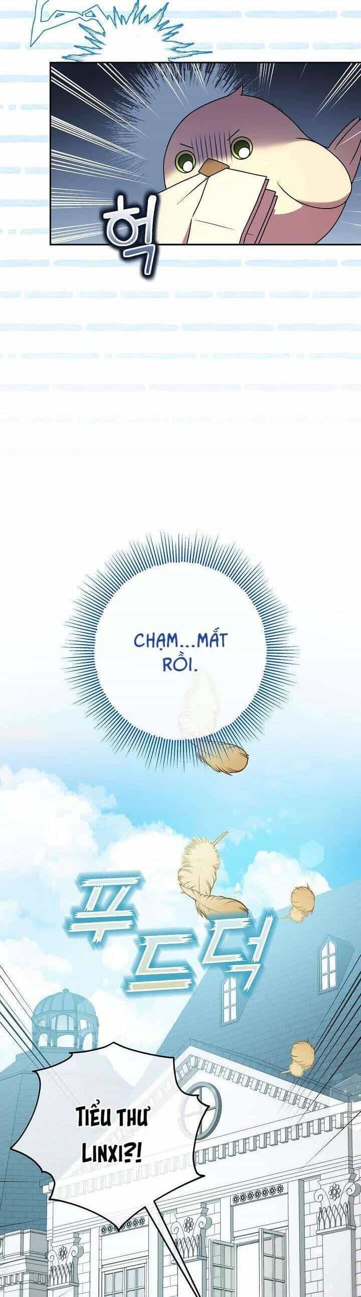 Nàng Chim Được Dinh Thự Sói Yêu Thương - Chương 4 - ảnh 10