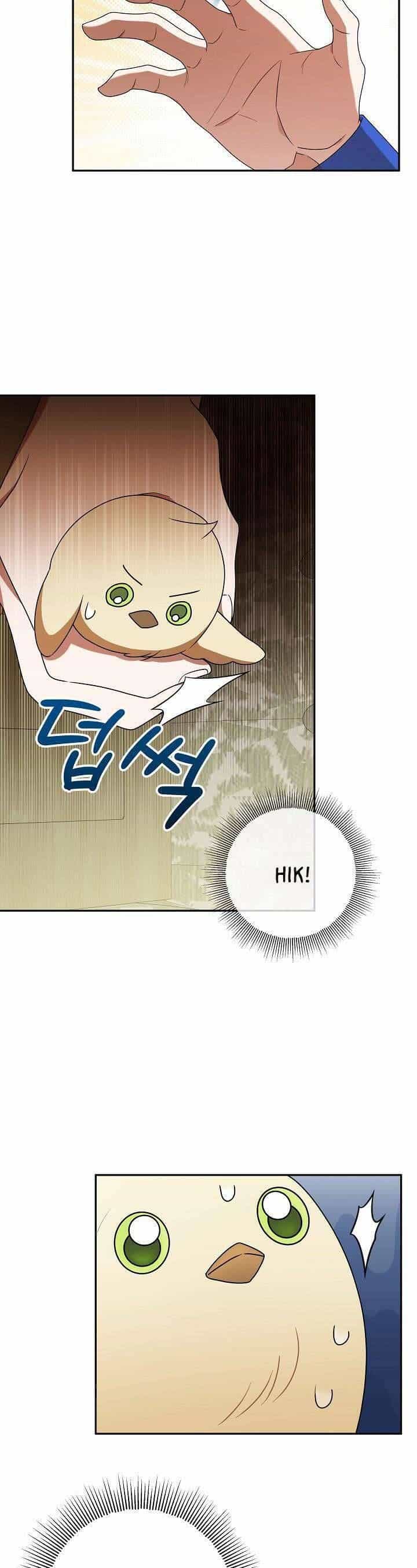 Nàng Chim Được Dinh Thự Sói Yêu Thương - Chương 5 - ảnh 13