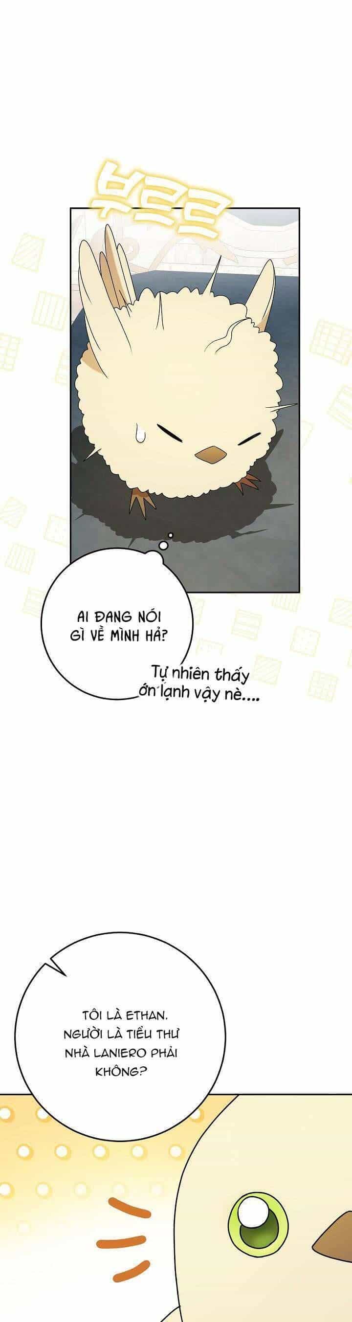 Nàng Chim Được Dinh Thự Sói Yêu Thương - Chương 6 - ảnh 31