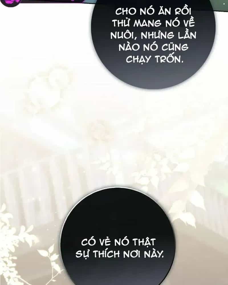 Nàng Công Chúa Tiên Tri - Chương 145 - ảnh 19