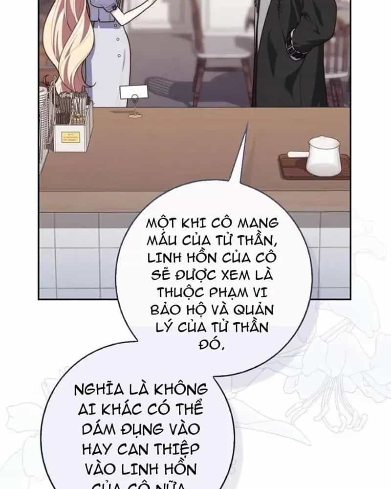 Nàng Công Chúa Tiên Tri - Chương 152 - ảnh 19