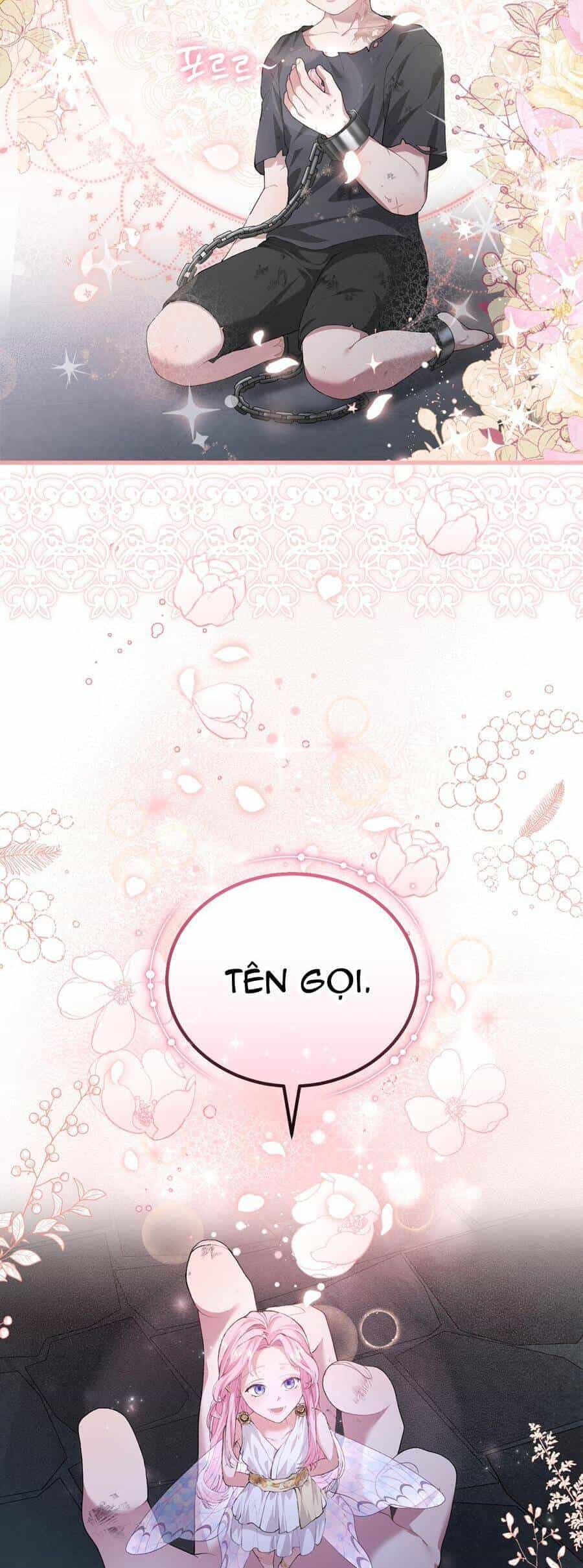 Nàng Tiên, Hãy Ký Hợp Đồng Nào - Chương 2 - ảnh 62