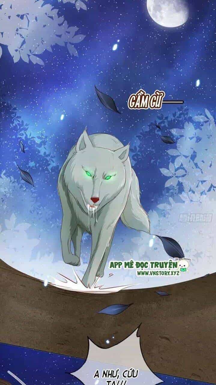 Nàng Trở Thành Bạch Nguyệt Quang Của Vương Gia Bệnh Kiều - Chương 29 - ảnh 3