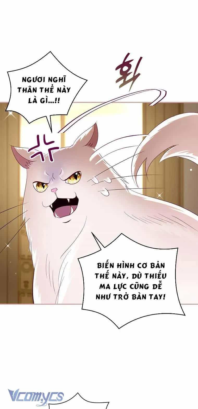 Này Boss Phản Diện, Tôi Có Thể Làm Mọi Thứ Trừ Cưới Ngài - Chương 47 - ảnh 47