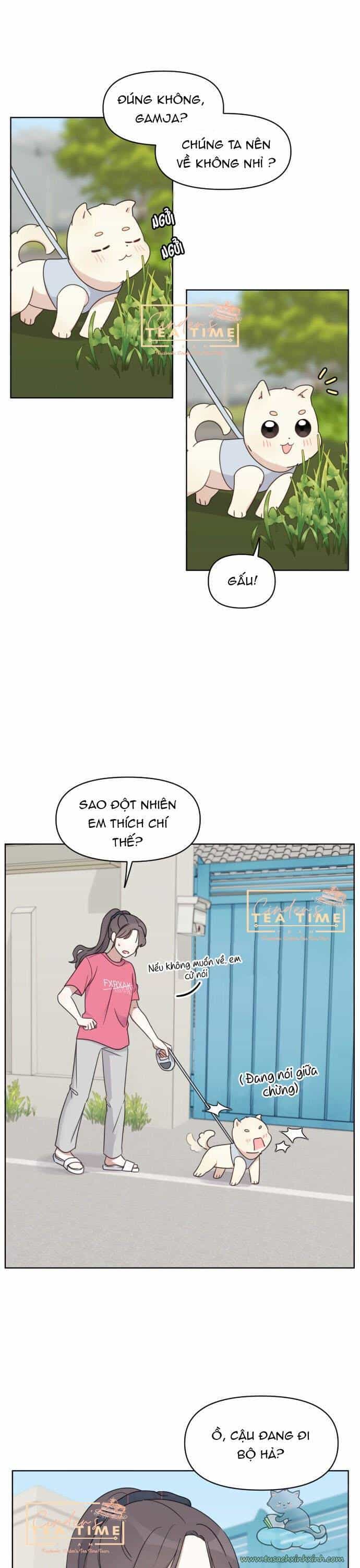 Ngắm Nhìn Điều Tuyệt Vời Nhất - Chương 6 - ảnh 23