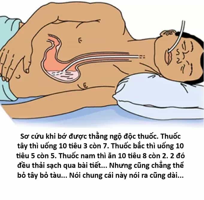 Ngay Cả Khi Hậu Tận Thế, Thật Hạnh Phúc Vẫn Còn Được Sống... - Chương 55.2 - ảnh 21