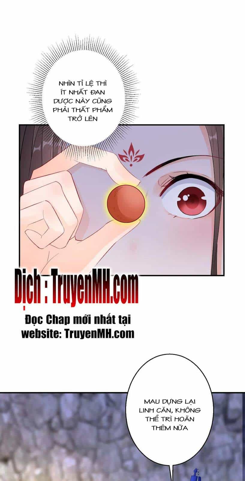 Nghịch Thiên Độc Phi - Chương 75 - ảnh 13