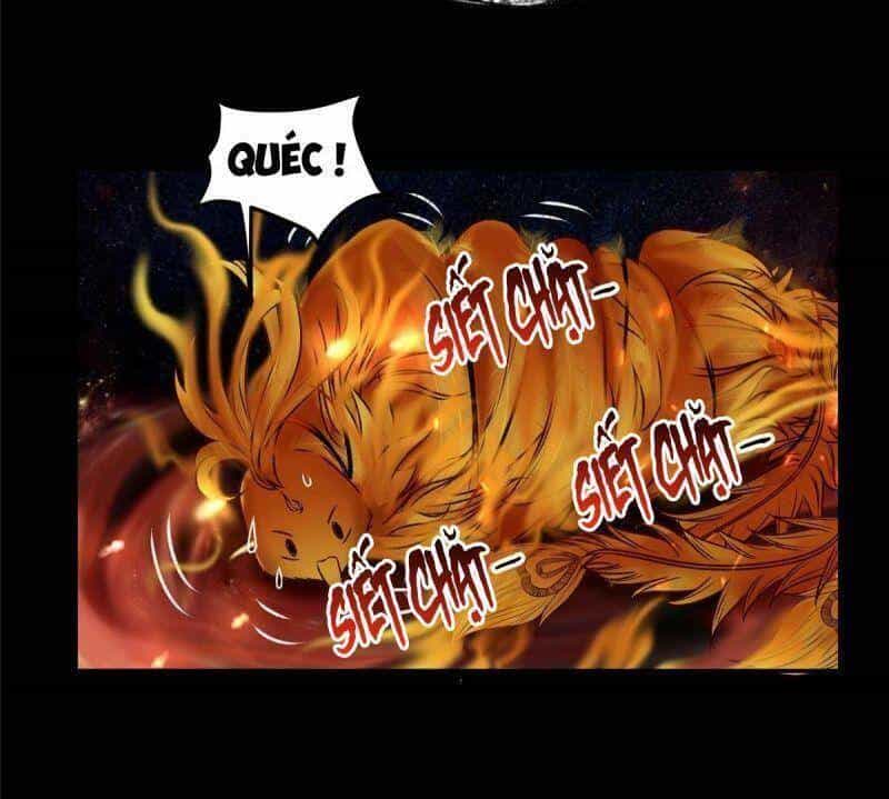 Nghịch Thiên Thần Phi Chí Thượng - Chương 8 - ảnh 26
