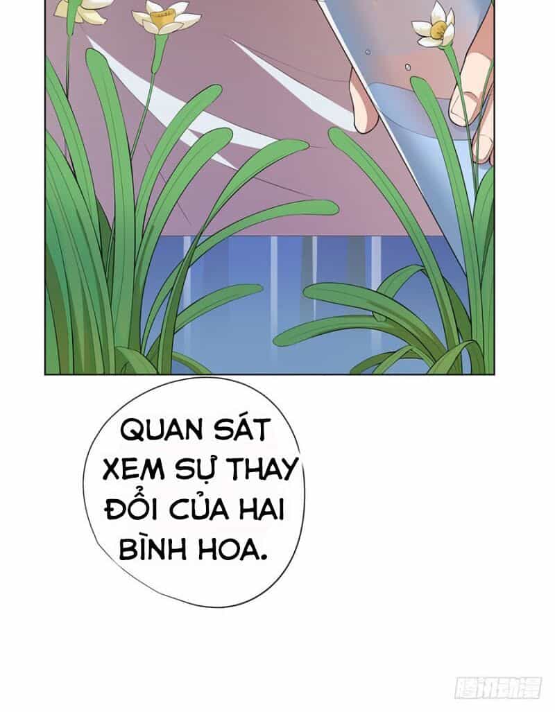 Nghịch Thiên Thần Y - Chương 72 - ảnh 25