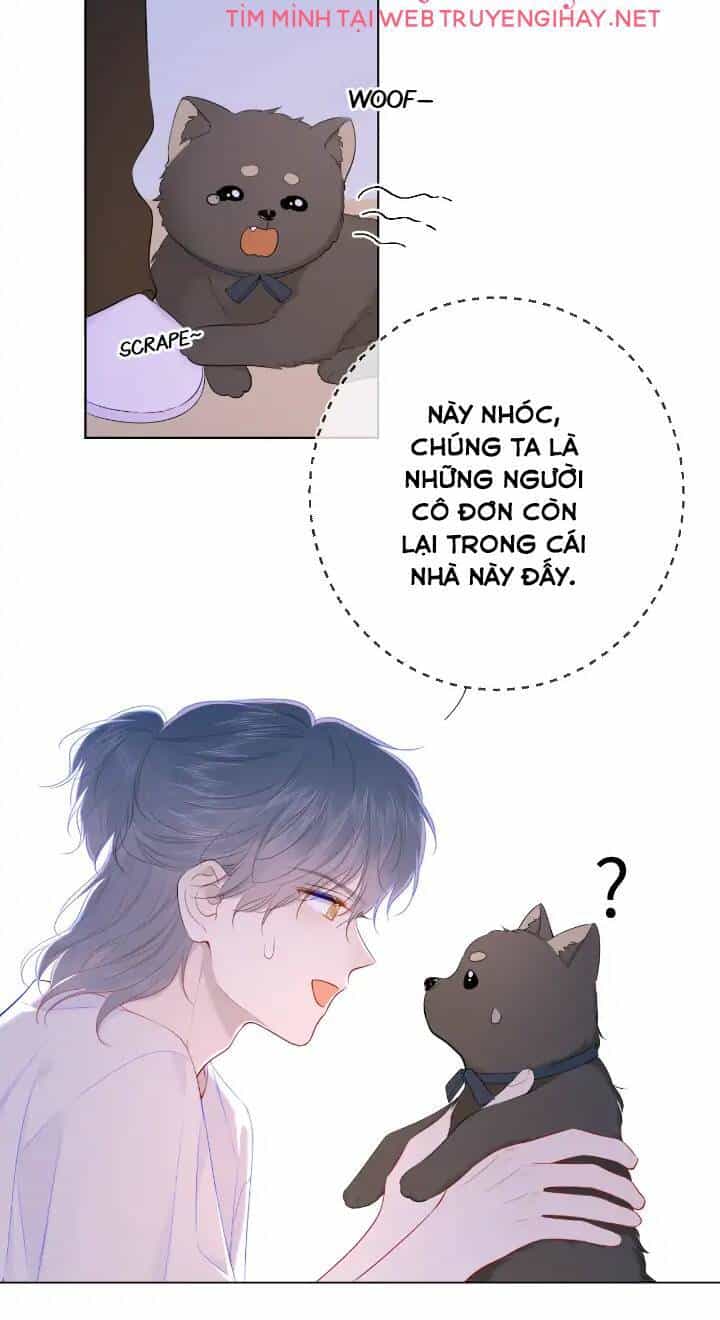 Ngôi Sao Cho Tôi - Chương 101 - ảnh 6