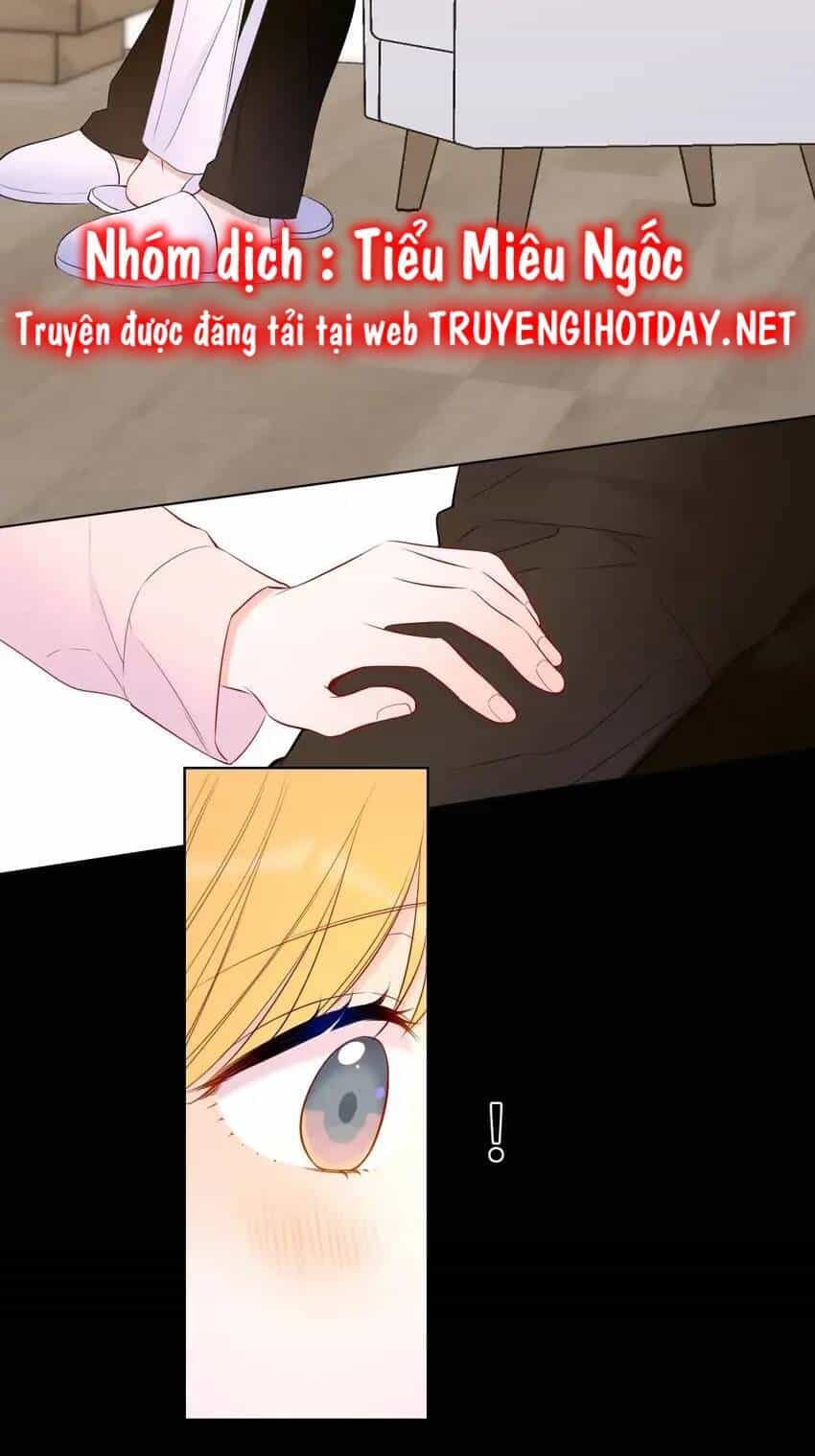 Ngôi Sao Cho Tôi - Chương 148 - ảnh 35