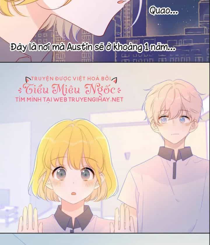 Ngôi Sao Cho Tôi - Chương 61 - ảnh 14