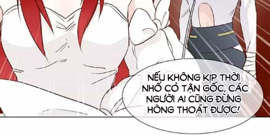 Ngôi Sao Vụn Vỡ - Chương 44 - ảnh 155
