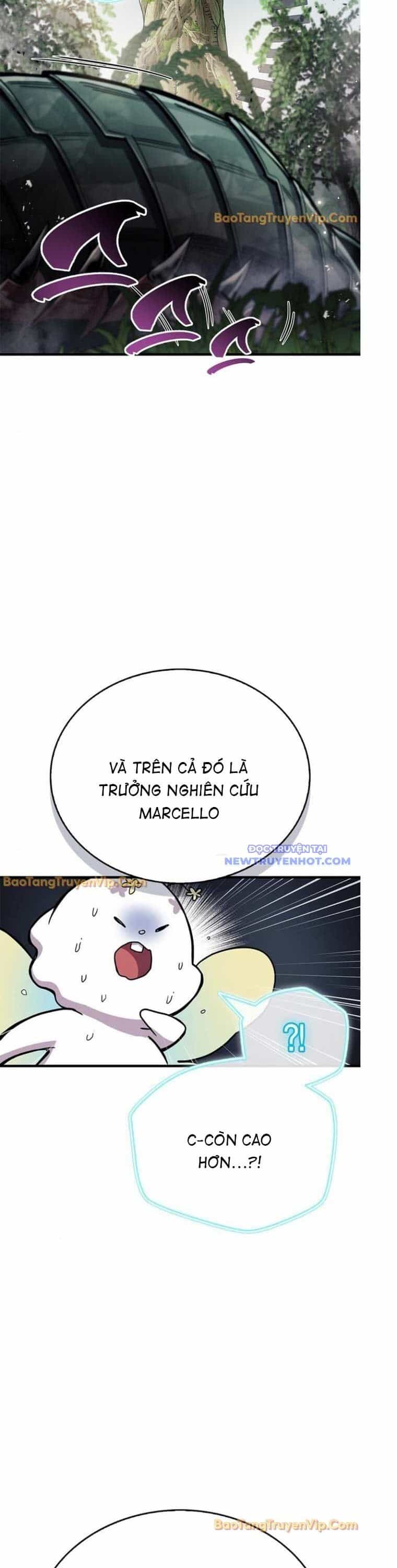 Người Chơi Che Giấu Quá Khứ - Chương 64 - ảnh 48