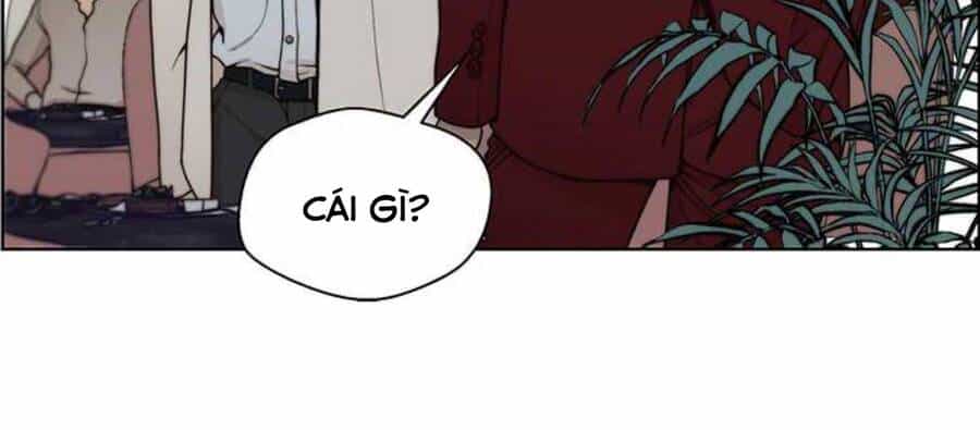 Người Đàn Ông Thực Thụ - Chương 84.5 - ảnh 70
