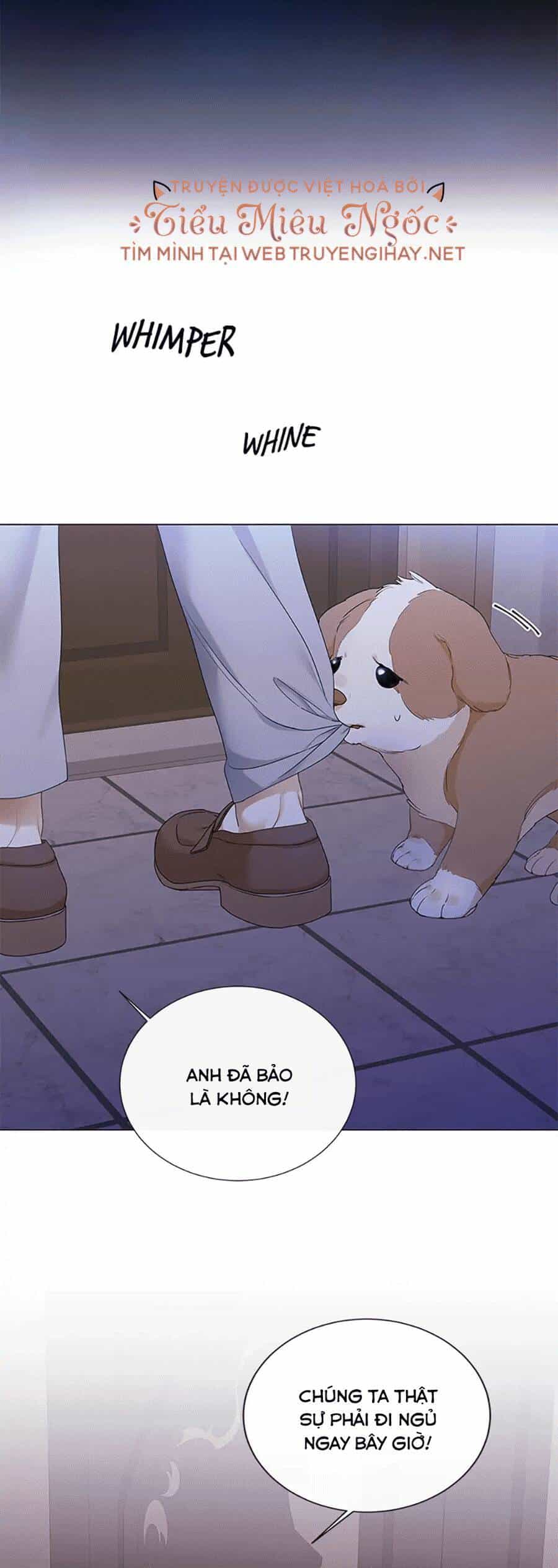 Người Không Mời Mà Đến - Chương 59 - ảnh 37