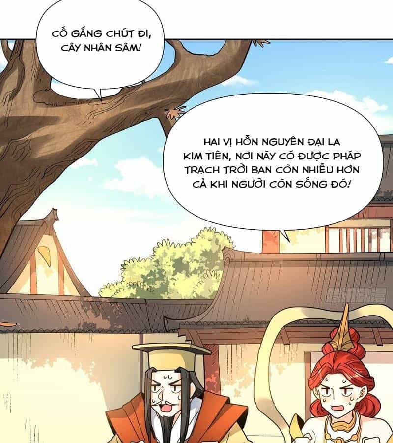 Nguyên Lai Ta Là Tu Tiên Đại Lão - Chương 421 - ảnh 46