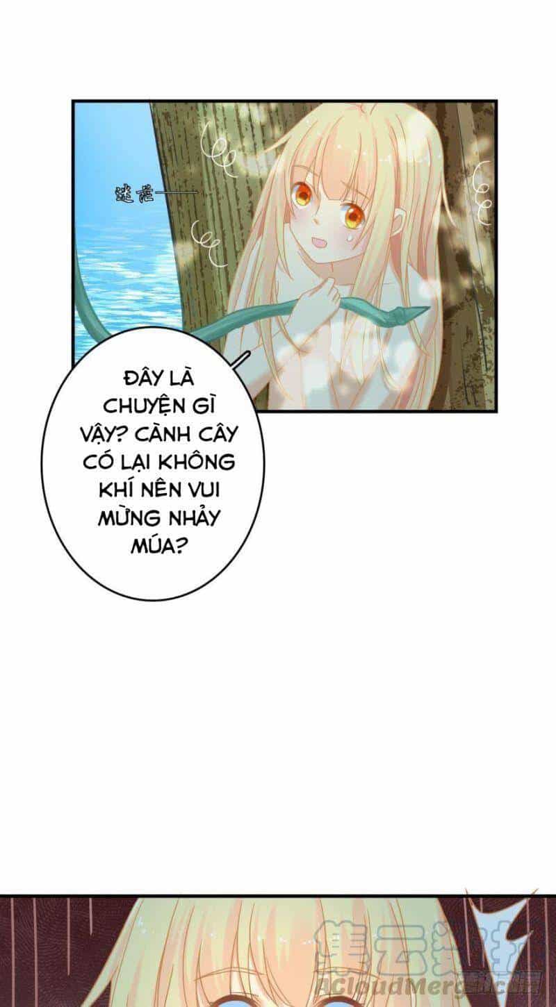 Nhân Ngư Học Trưởng, Đừng Ôm Ta! - Chương 71 - ảnh 30