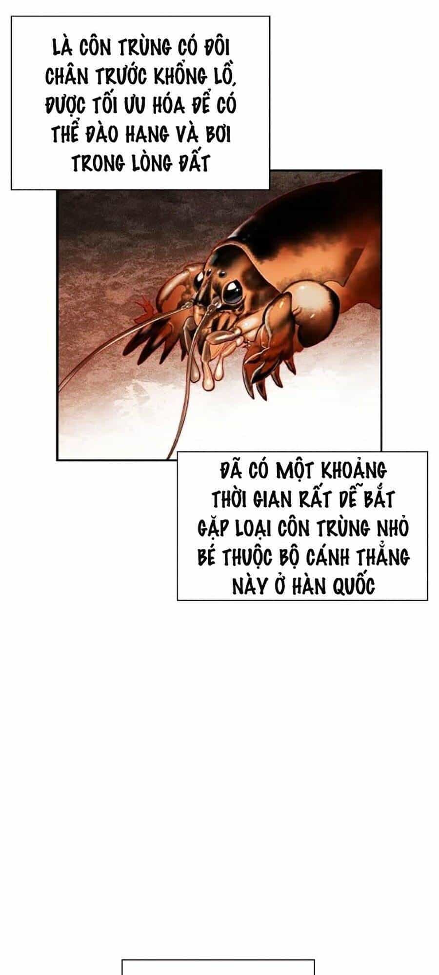 Nhân Trùng Đại Chiến - Chương 33 - ảnh 78