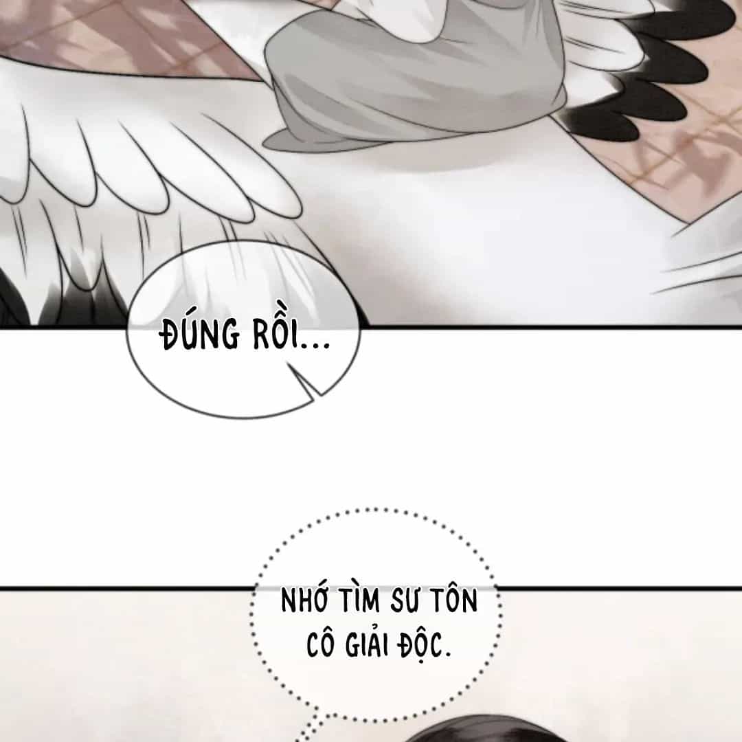 Nhập Hải - Chương 8 - ảnh 17