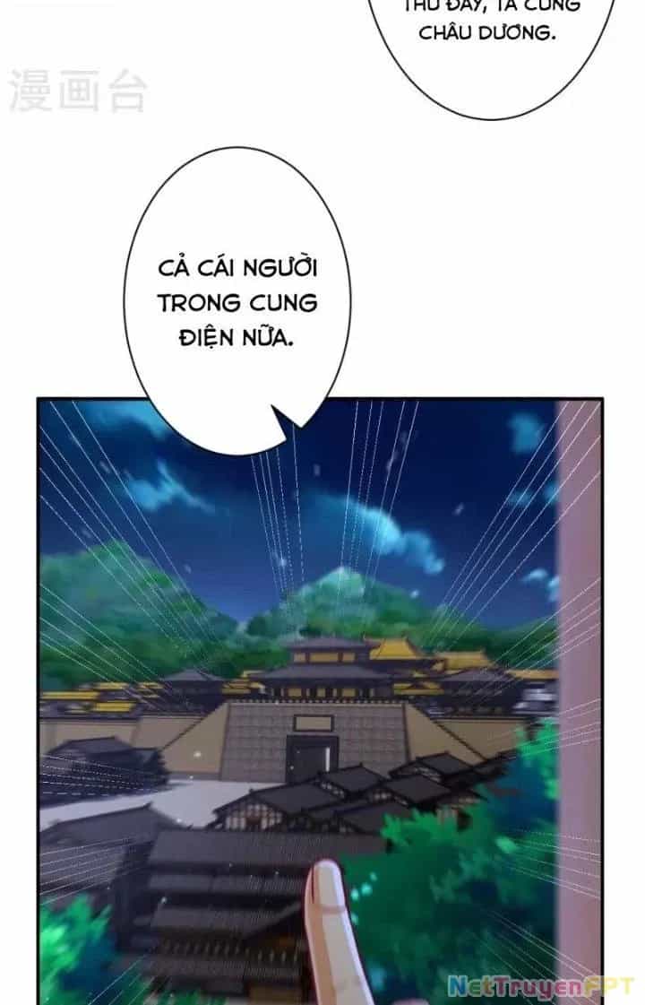 Nhất Đẳng Gia Đinh - Chương 370 - ảnh 34