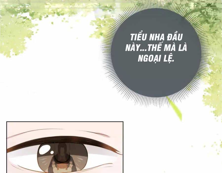 Nhặt Được Bảo Bối Manh Manh - Chương 7 - ảnh 74