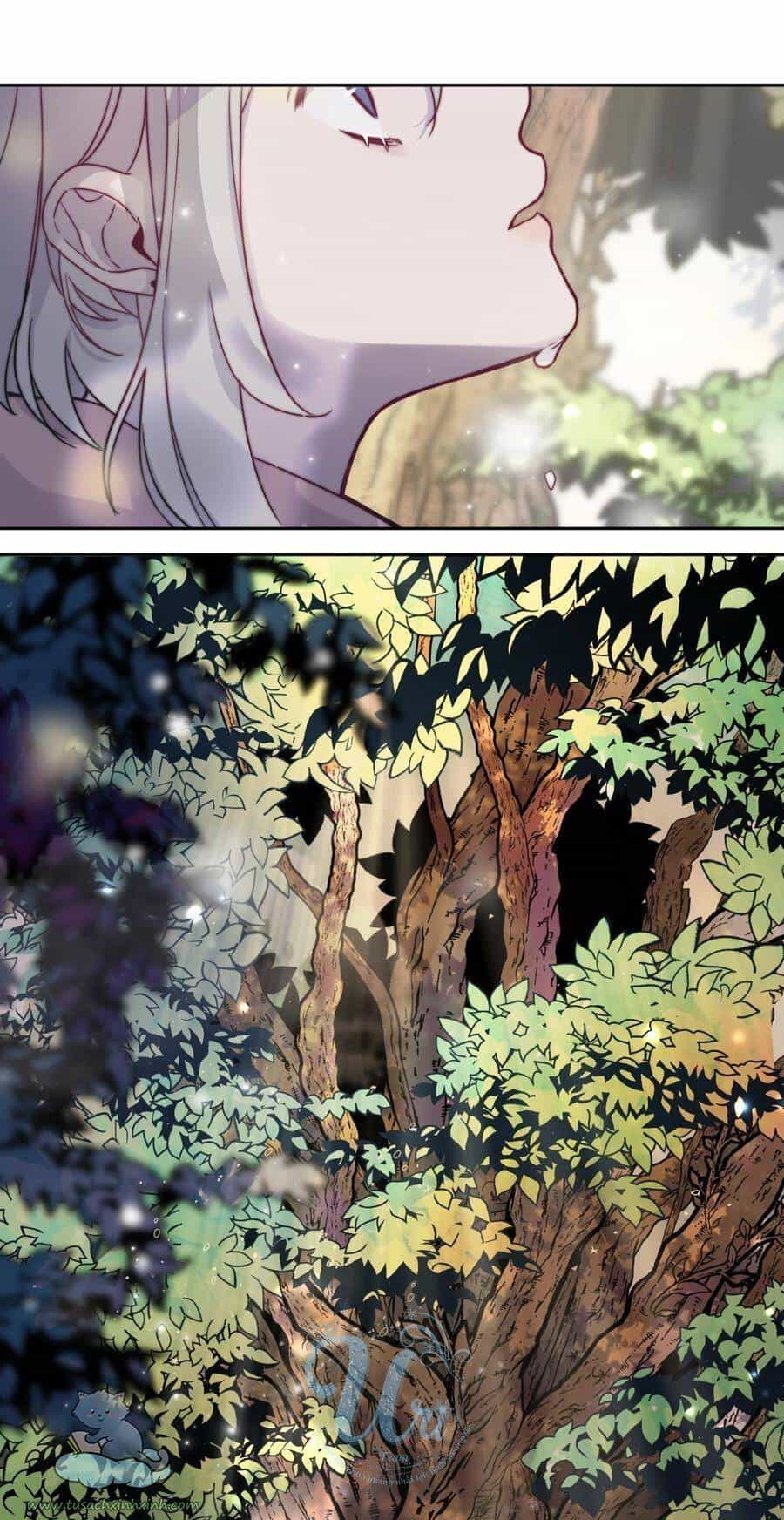 Nhật Ký Nấm Ma Cô - Chương 2 - ảnh 17
