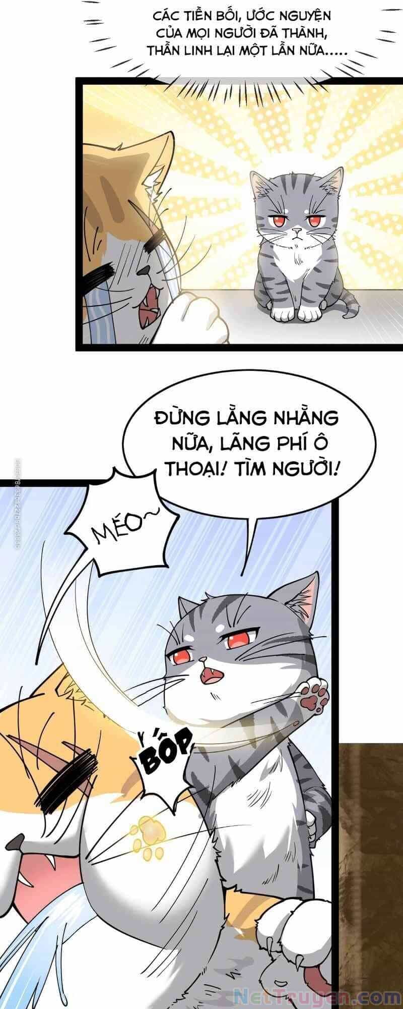 Nhật Ký Thường Ngày Của Tiên Vương - Chương 35 - ảnh 10