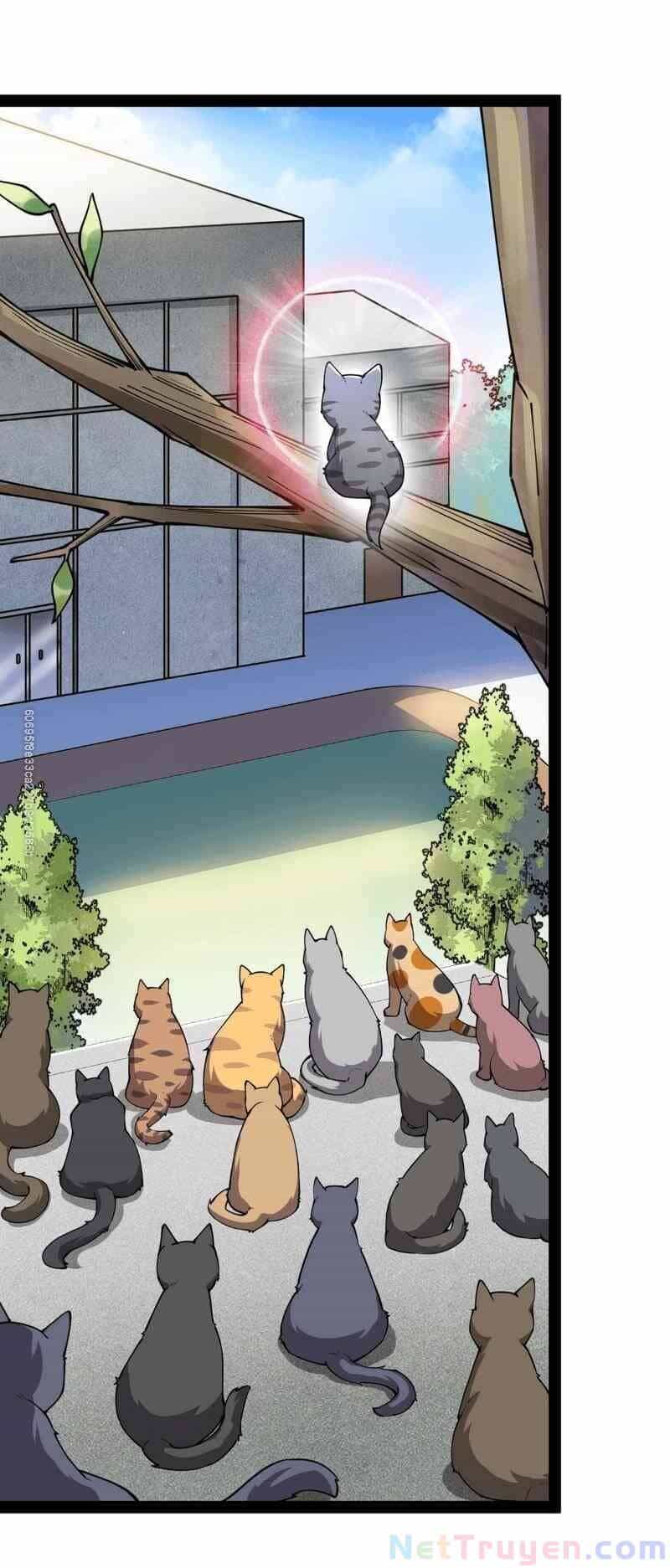 Nhật Ký Thường Ngày Của Tiên Vương - Chương 35 - ảnh 36