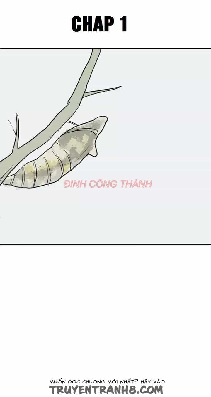 Nhộng - Chương 1 - ảnh 4