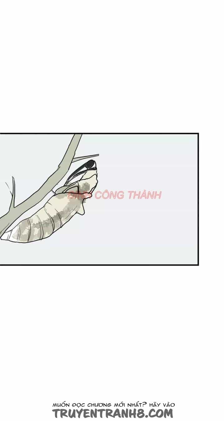 Nhộng - Chương 1 - ảnh 5